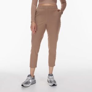 The Group by Babaton Weekender Pant (taupe, size S, EUC)